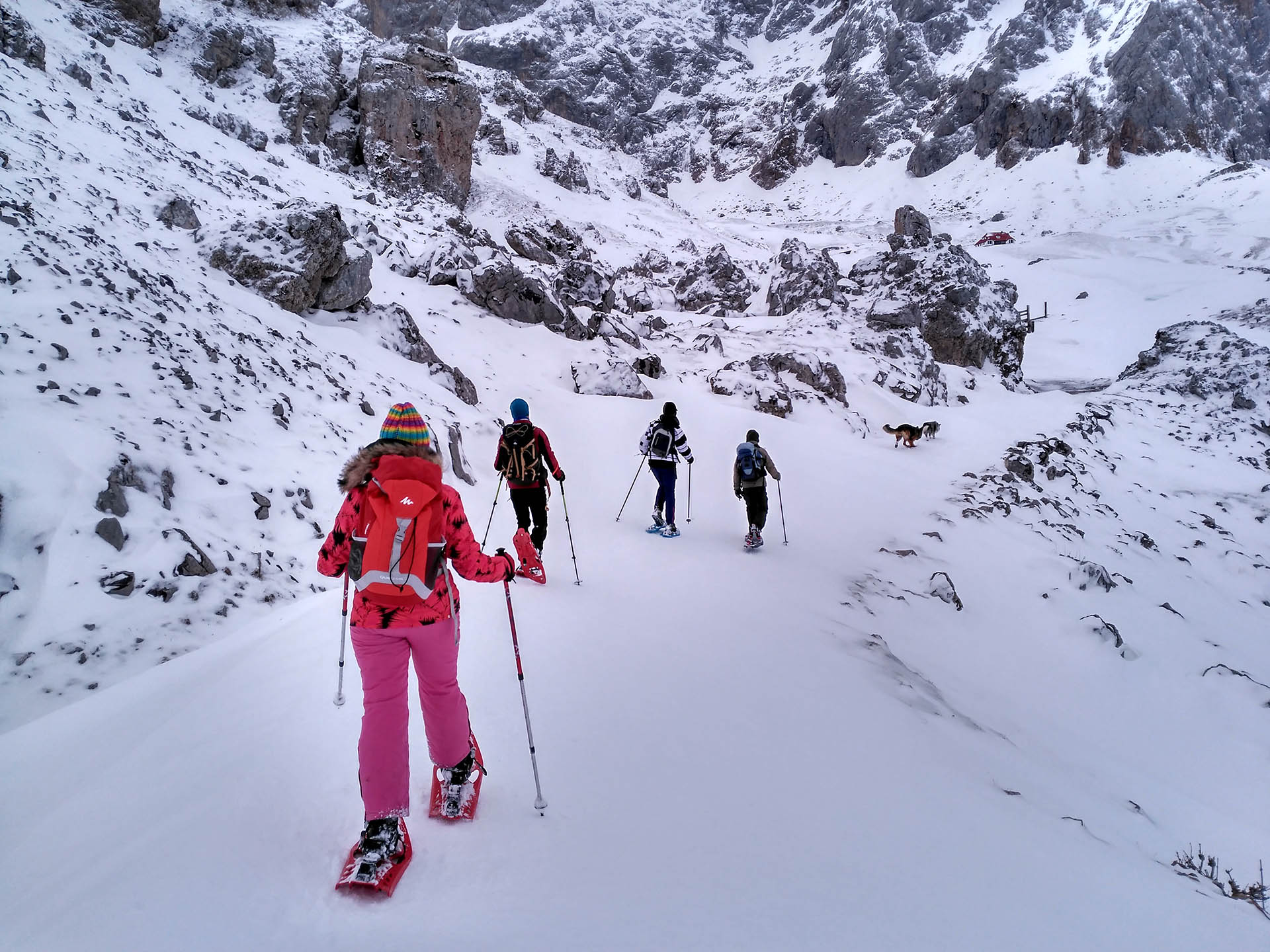 Raquetas de nieve - Lagos de Covadonga - Frontera Verde Aventura