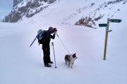 Raquetas Nieve Andara