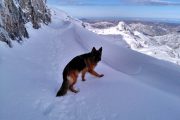 Raquetas Nieve Andara