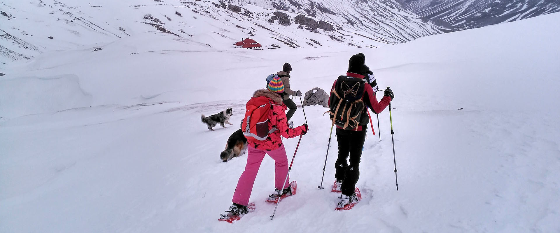 Raquetas de Nieve