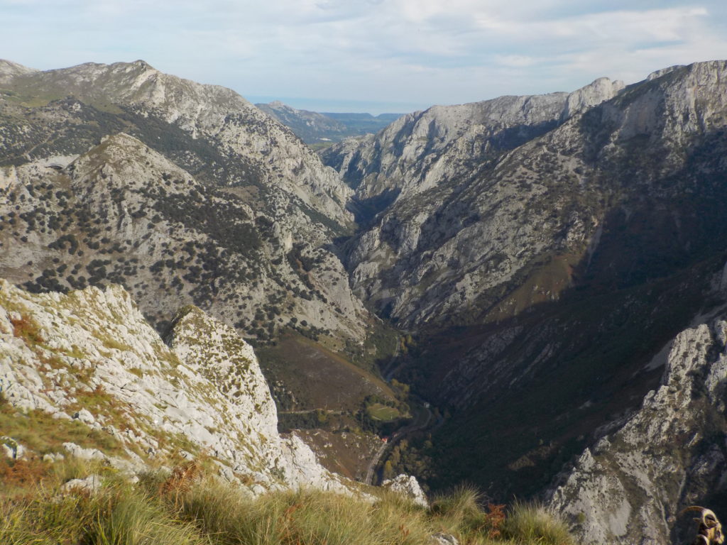 Ruta Pasa Los Picayos Canoe Aventura Trophy