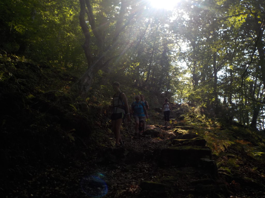 Ruta Las Agueras, Canoe Aventura Trophy